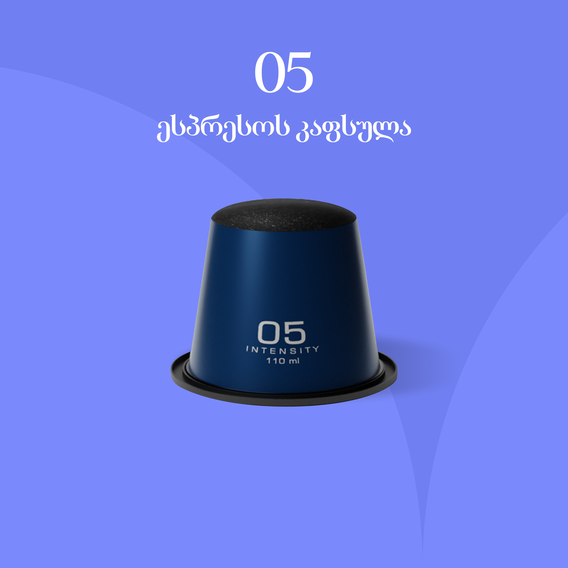 แแฃแ แฏแ 05