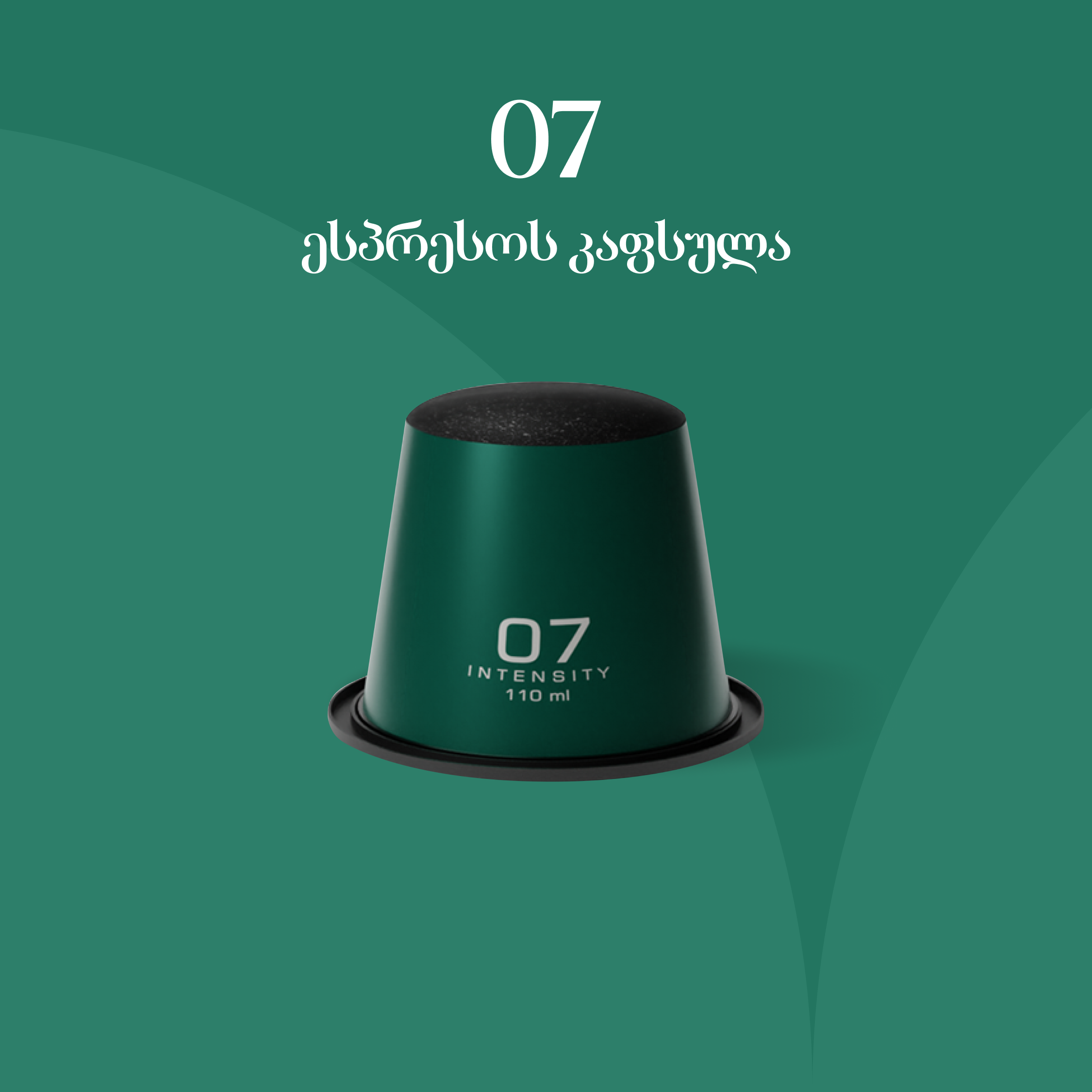 แแฌแแแแ 07