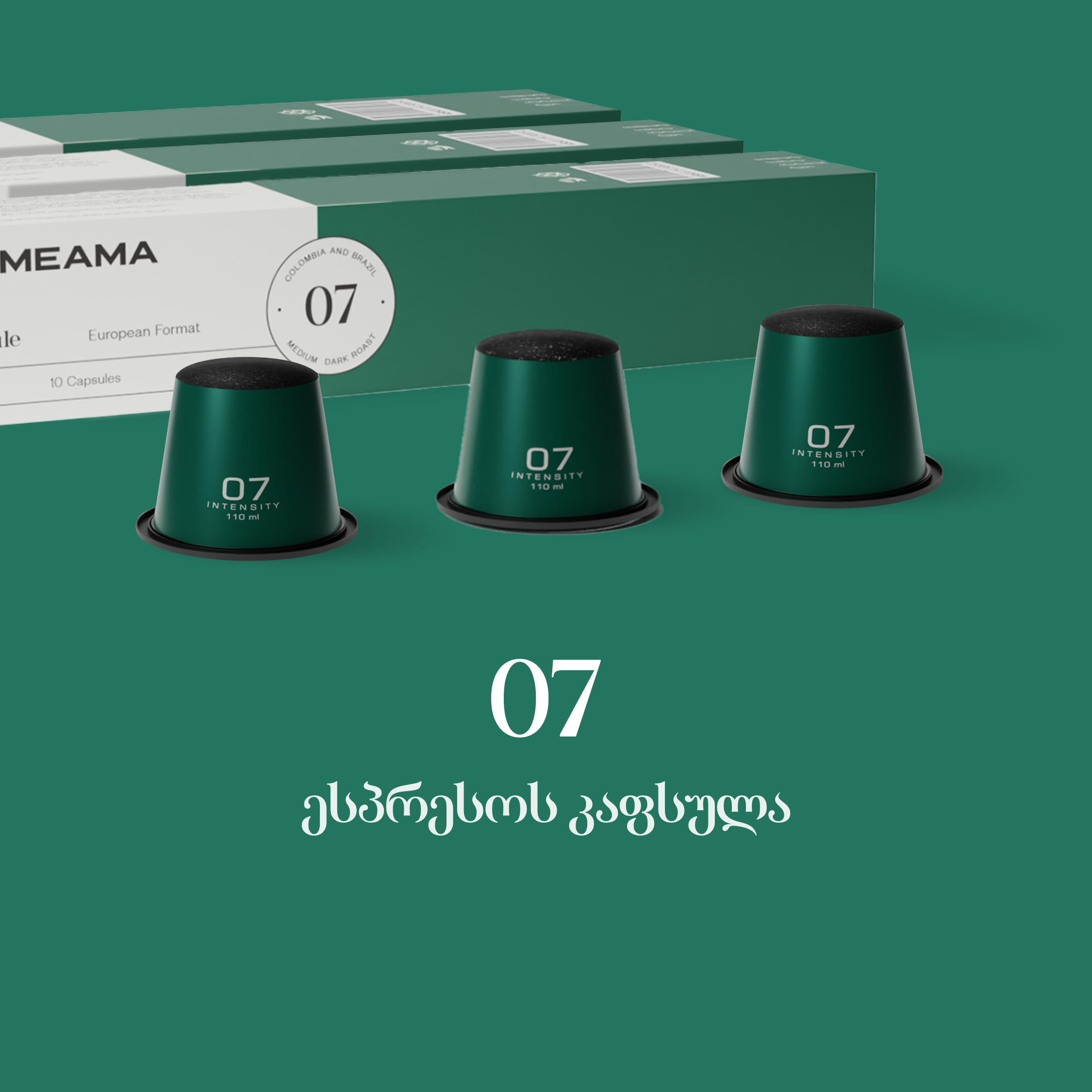 แแฌแแแแ 07