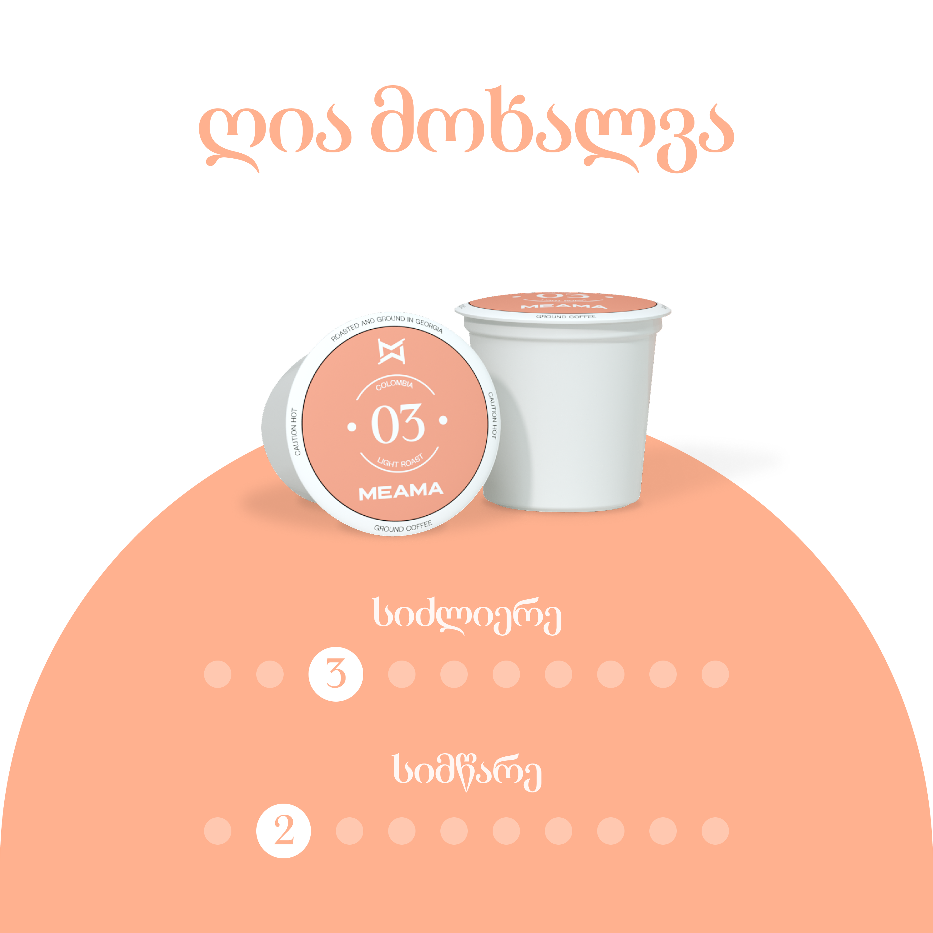 แแแแฃแแแแ 03