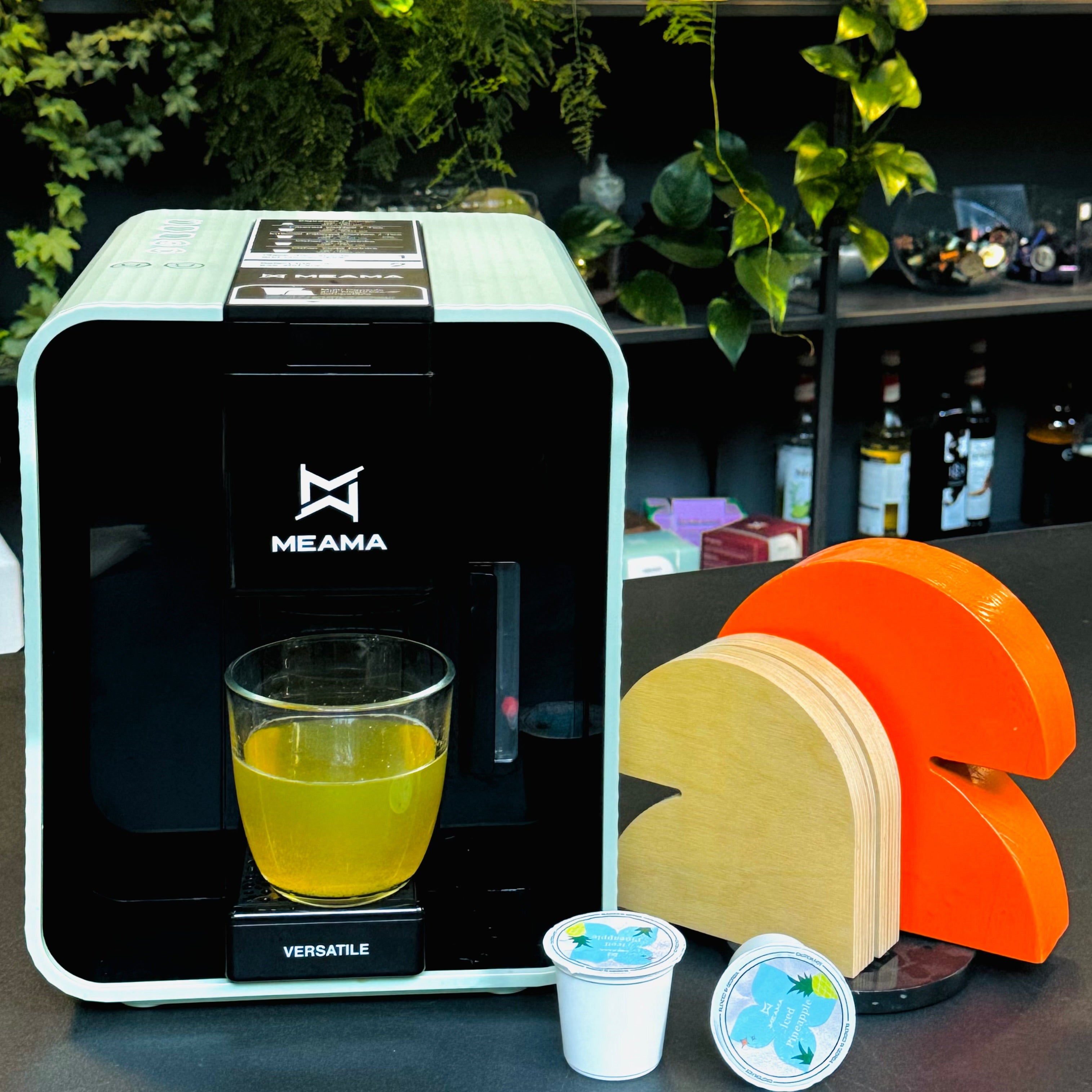 แชแแแ แแแแแแกแ