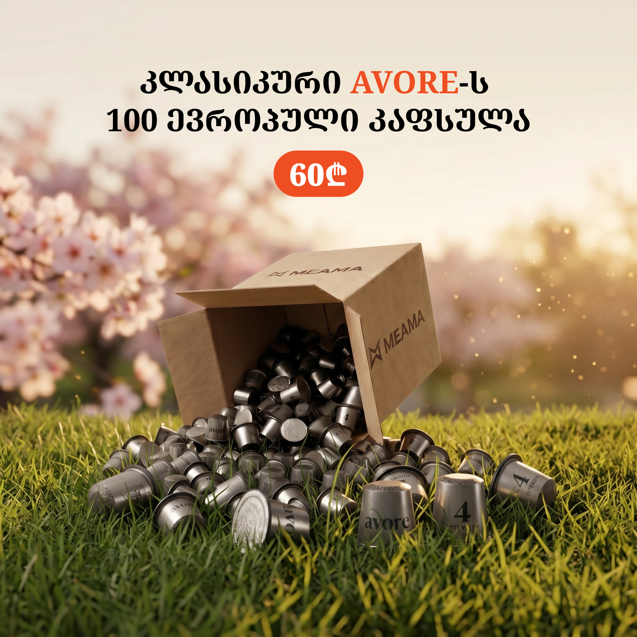 ევროპული "ავორეს" კლასიკური მიქსი