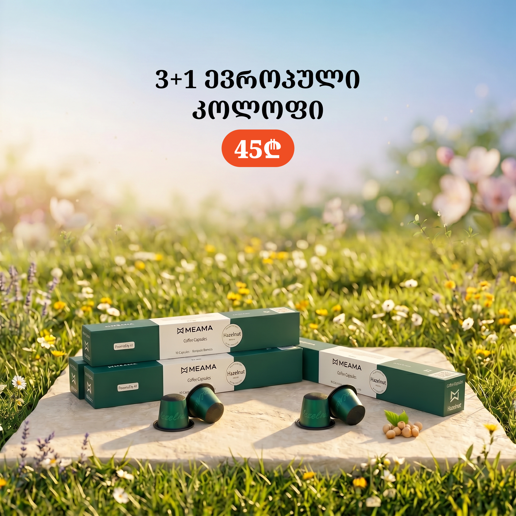 3+1 ტყის თხილი