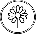 გვირილა