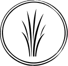 პიტნა