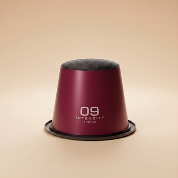 Burgundy 09.