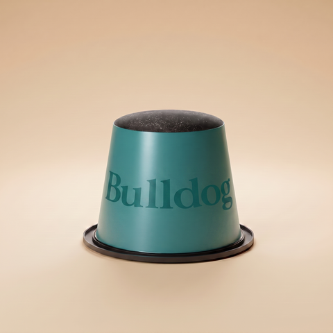 Bulldog.